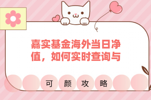 嘉实基金海外当日净值，如何实时查询与解读？