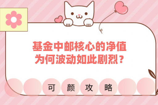 基金中邮核心的净值为何波动如此剧烈？