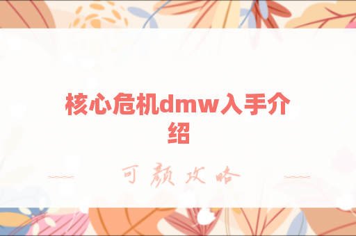 核心危机dmw入手介绍